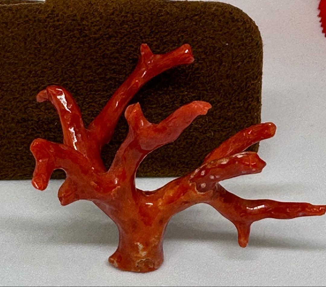 10276天然珊瑚原木の置き物、又は穴あるからアクセサリーにも最適