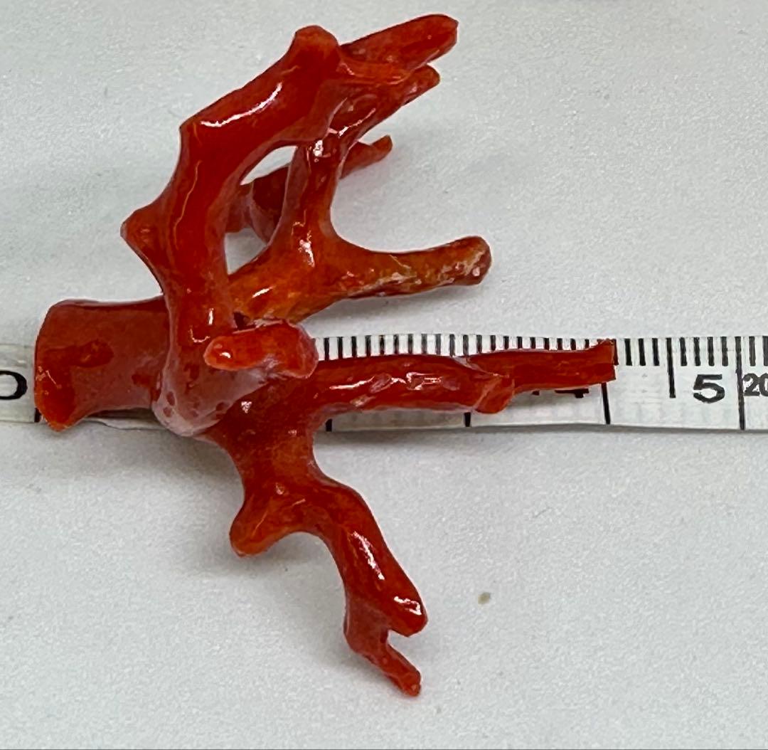 10276天然珊瑚原木の置き物、又は穴あるからアクセサリーにも最適