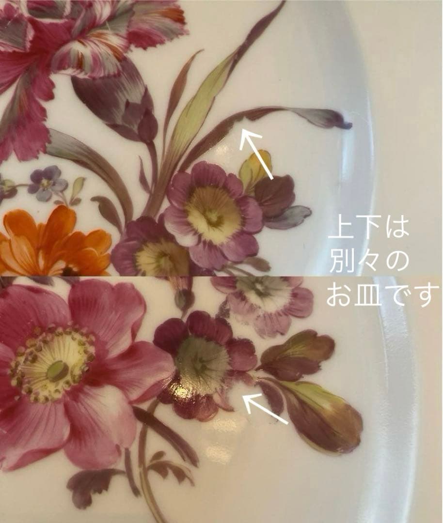 【KPMベルリン】金彩 手描き ディナー皿 ６枚「大きな花／いずれもシック」