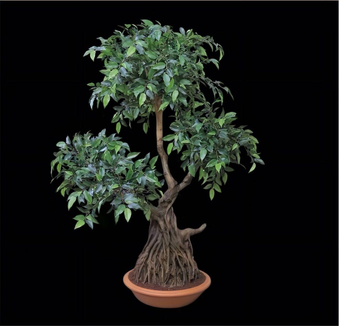 光触媒　人工観葉植物　ウォールグリーン　フェイクグリーン　盆栽フィカス1916