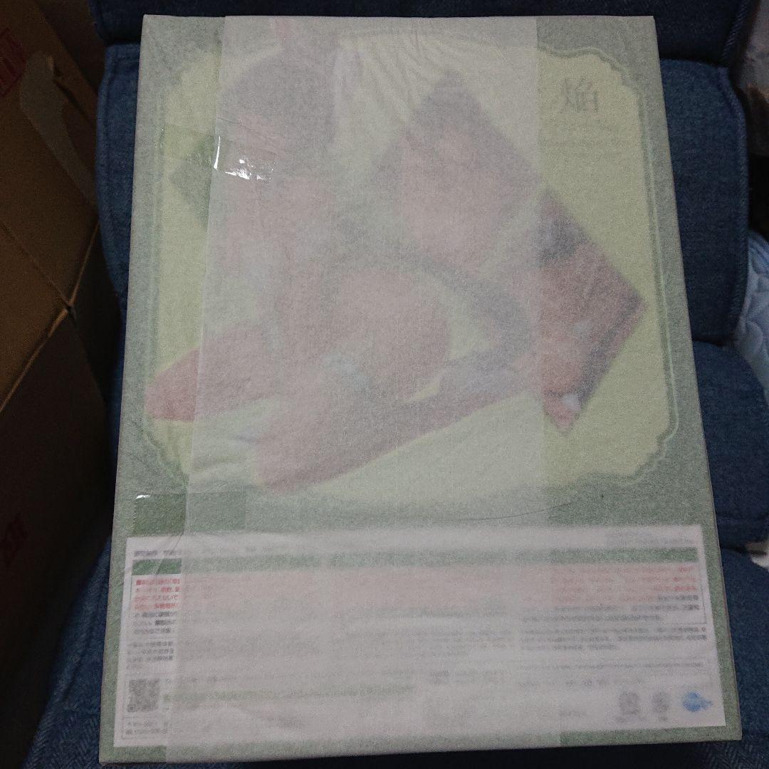 【新品未開封】フリーイング 閃乱カグラ NEW LINK 焔 バニーVer.