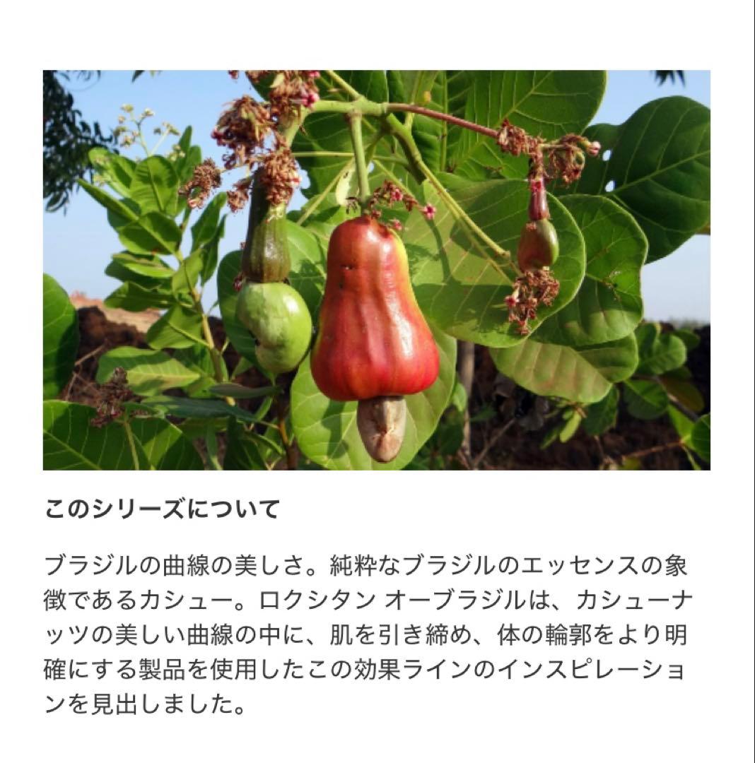 L'Occitane CAJU ボディケアセット