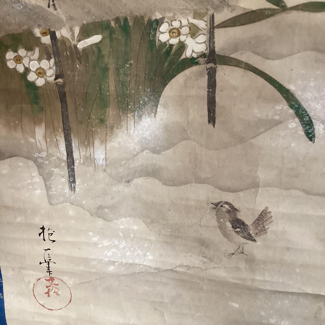 酒井抱一 紙本彩色画 【 雪中水仙に小禽図 】 落款印譜 掛軸一幅 377