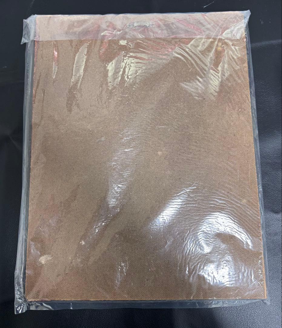 額入り絵画 アートパネル 女性 インテリア 壁掛け