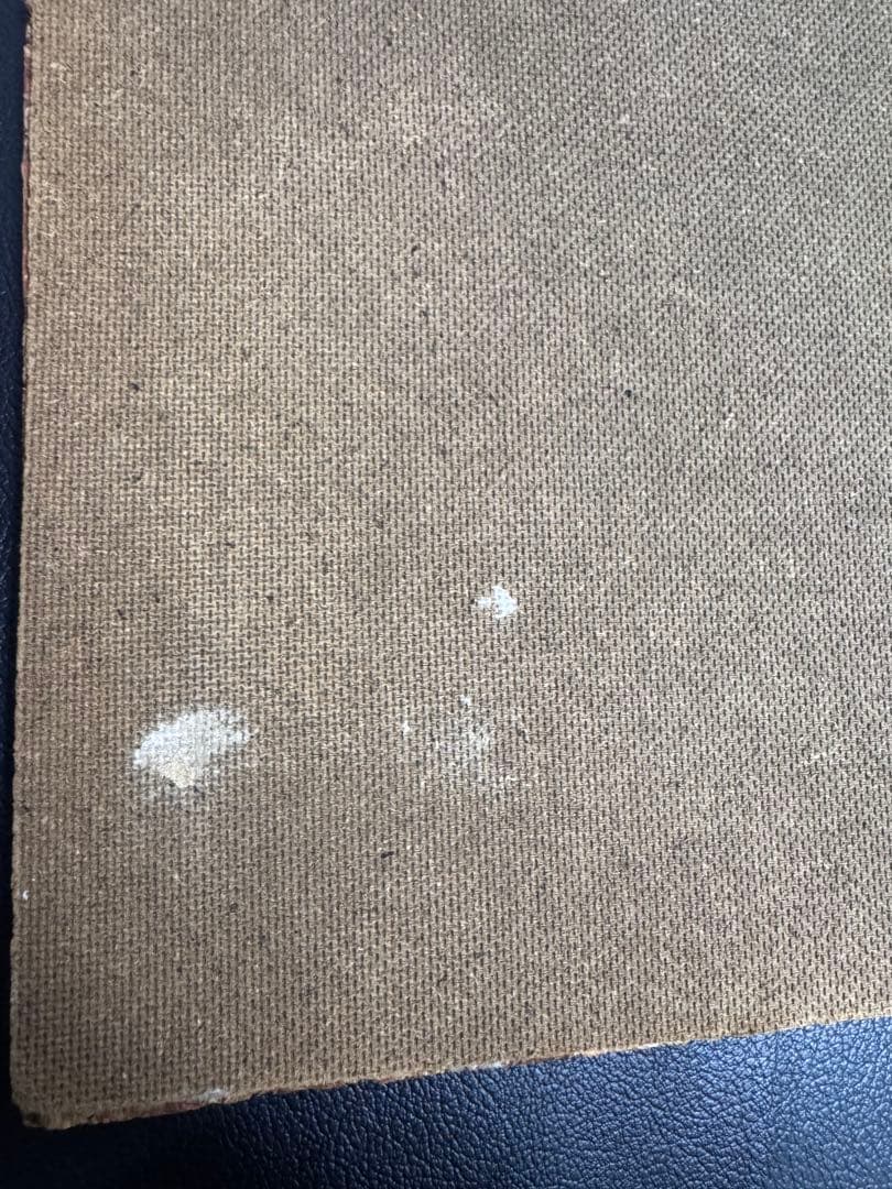 額入り絵画 アートパネル 女性 インテリア 壁掛け