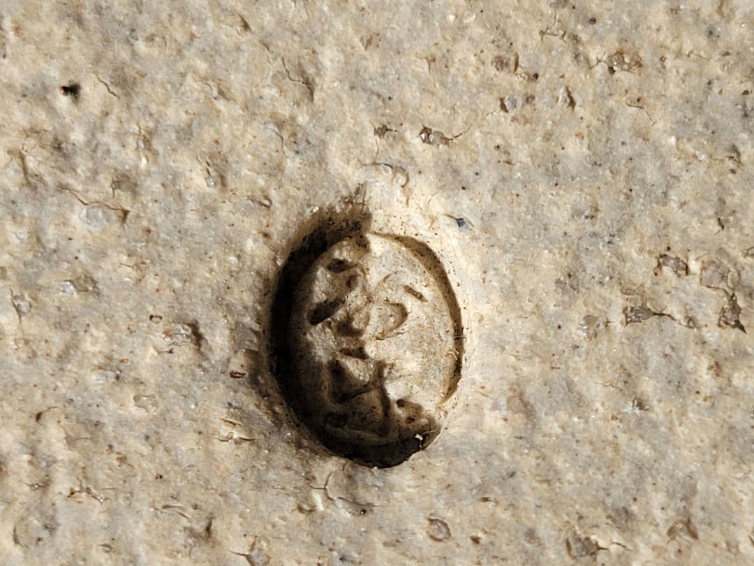 陶器製 曲線状の展示用作品