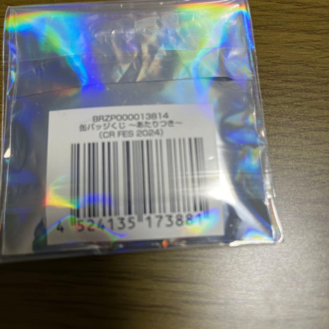 crazy racoon 2024 FES うるか 缶バッジ - メルカリ