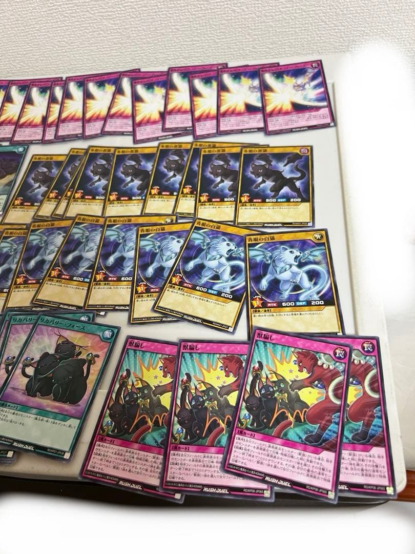 遊戯王、ラッシュデュエル、金眼の星猫、緑眼の星猫、銀眼の星猫（字レア、ノーマル）