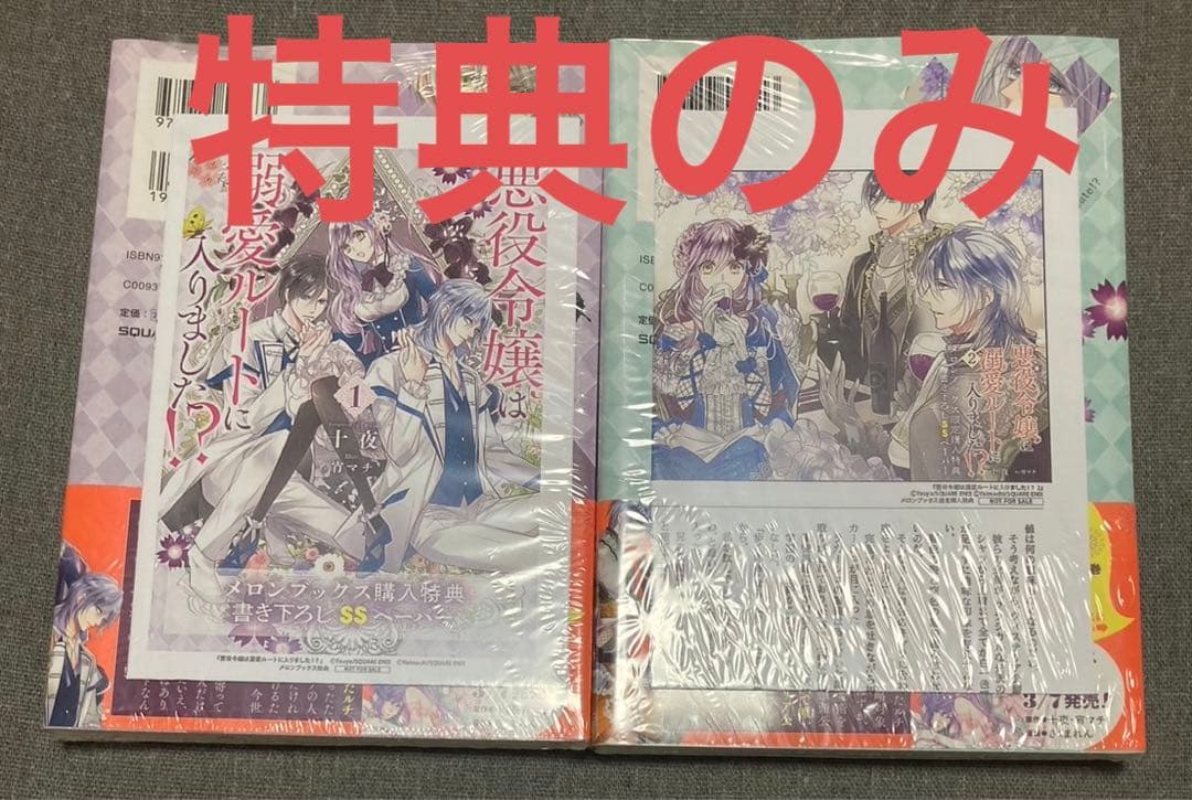 悪役令嬢は溺愛ルートに入りました⁉︎ 1巻 2巻 メロンブックス特典SS