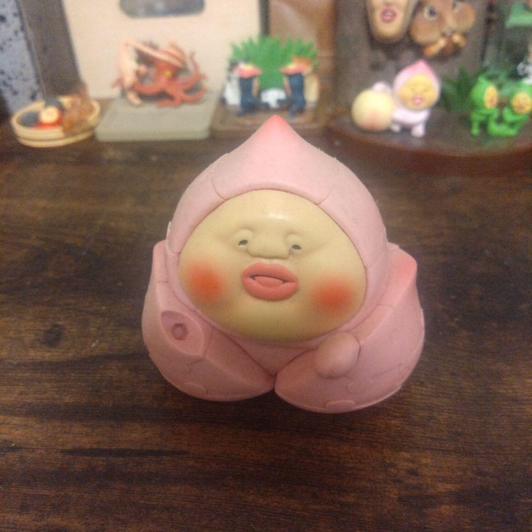 【早い者勝ち】こびとづかん生態系セット