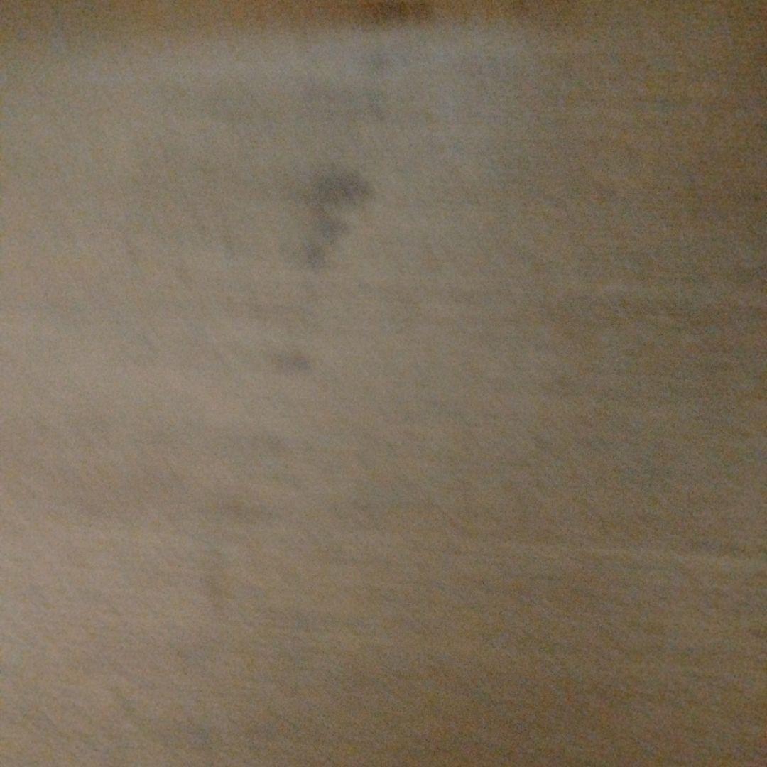 無印良品 MUJI タモ材天然木　廃盤品