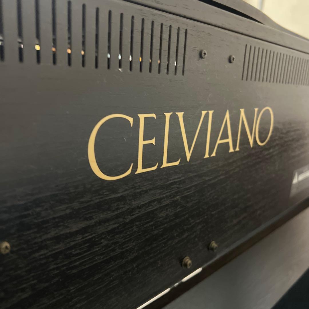 横浜・川崎】CASIO 88鍵盤 セルビアーノ 電子ピアノ AP-30 - メルカリ