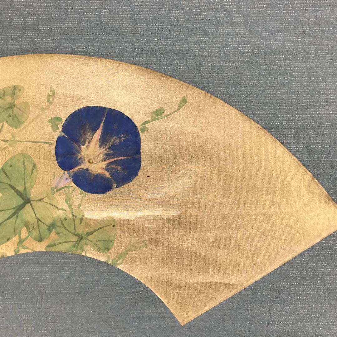 真作/庄田鶴友/朝顔図/花図/夏の花図/夏の掛軸/扇面/掛軸☆宝船☆AH-808