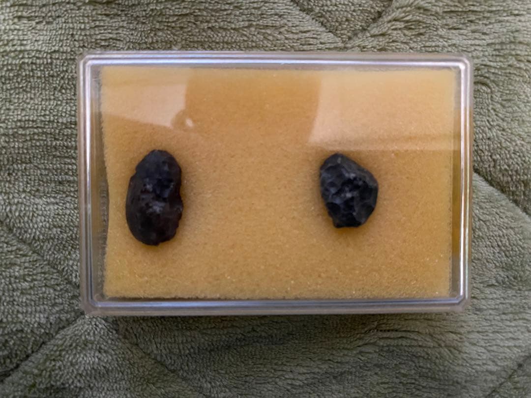 テクタイト 隕石 原石 5ケース(10個)