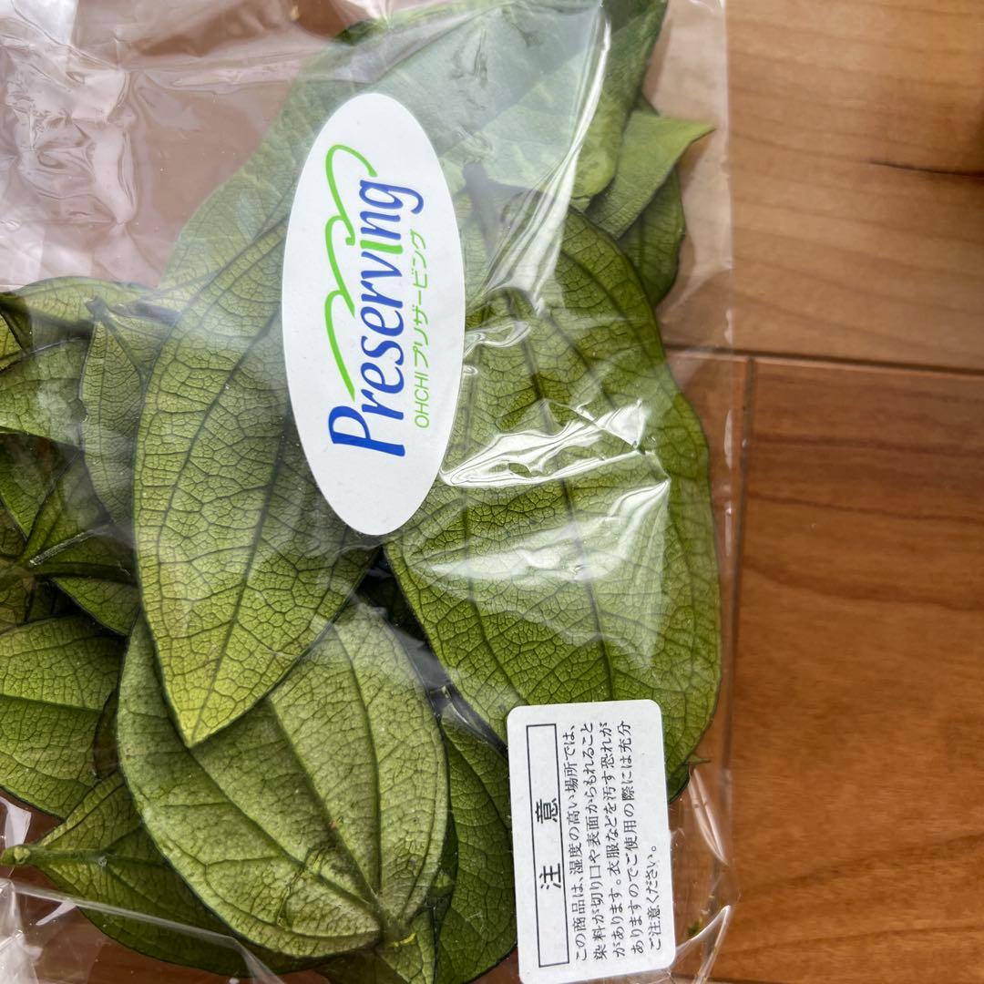 プリザーブドフラワー　クラフト材料セット