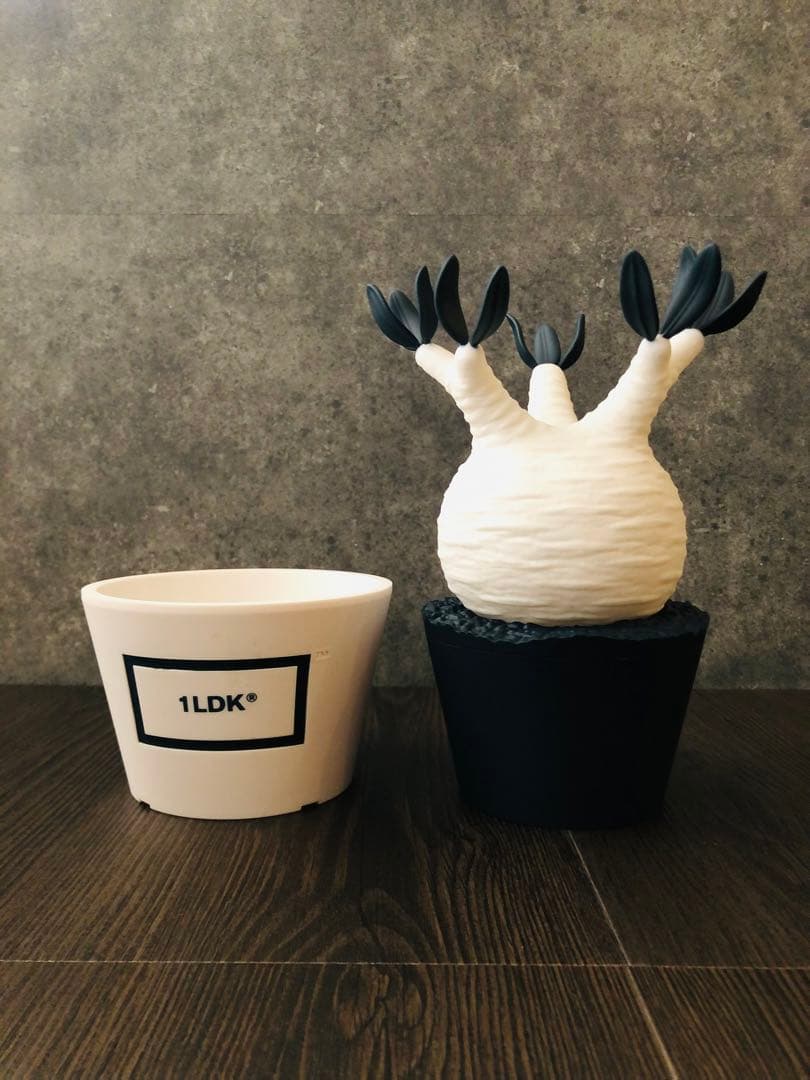 1LDK BOTANIZE ボタナイズ グラキリス フィギュア メディコムトイ