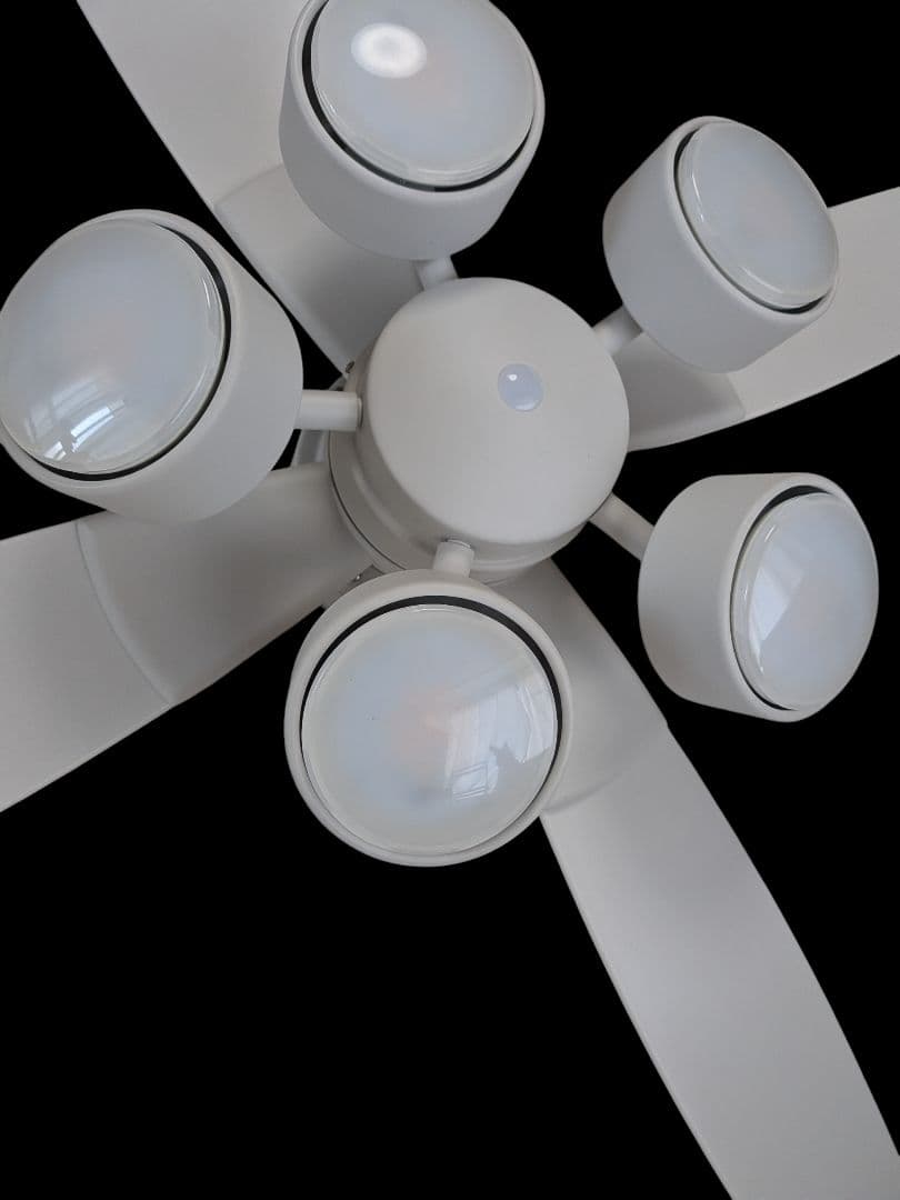 DAIKO ホワイト 5灯式シーLEDリングファン　リモコン付CFS580W