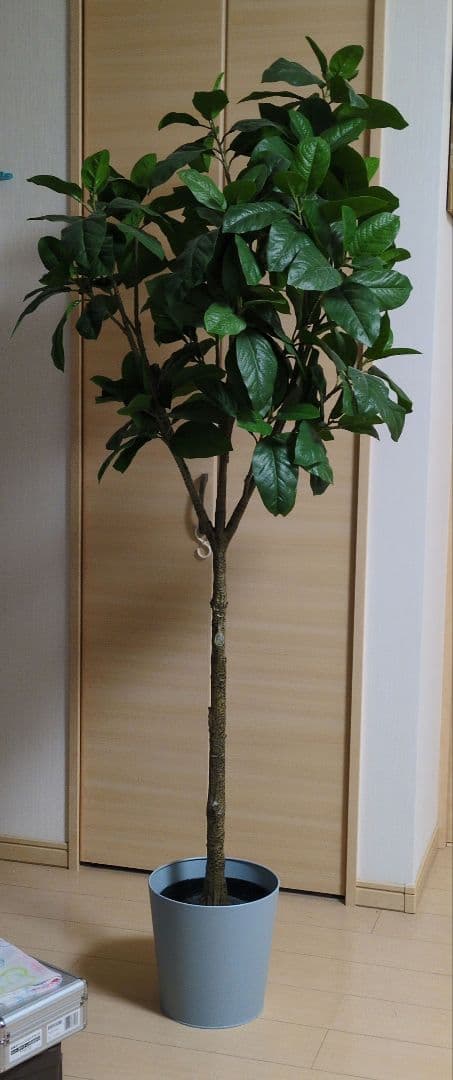 【直接引き取り限定】人工観葉植物 緑色 Ikea FEJKA フェイカ