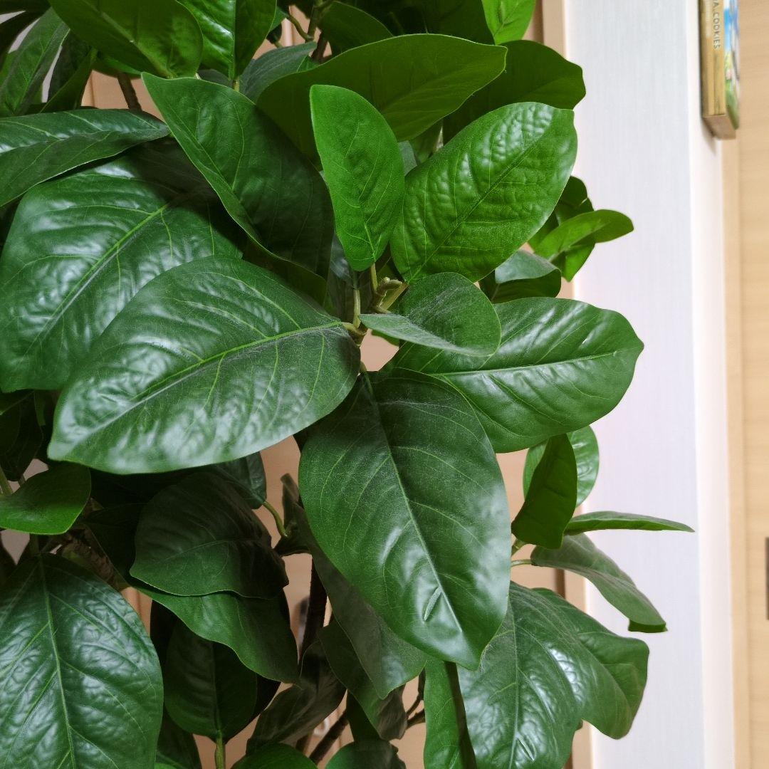 【直接引き取り限定】人工観葉植物 緑色 Ikea FEJKA フェイカ