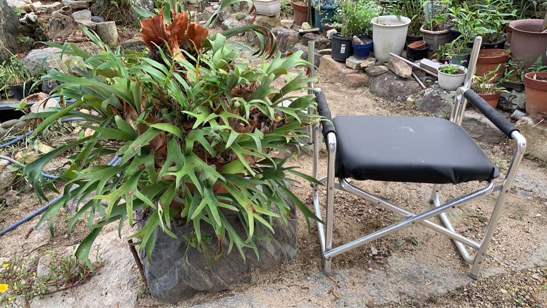 はなはなはなこ