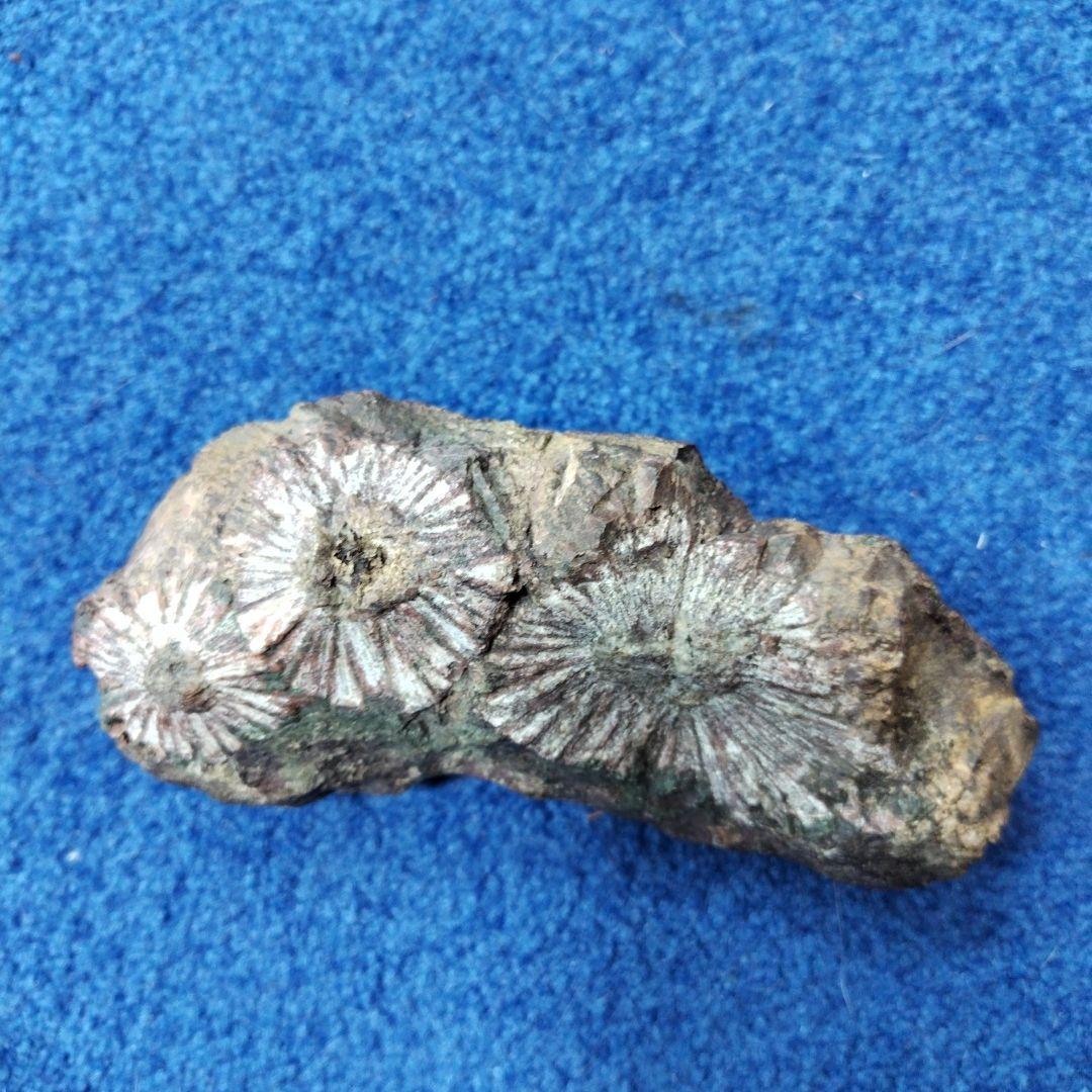 最終価格　菊花石　 天然石 鉱物 置物