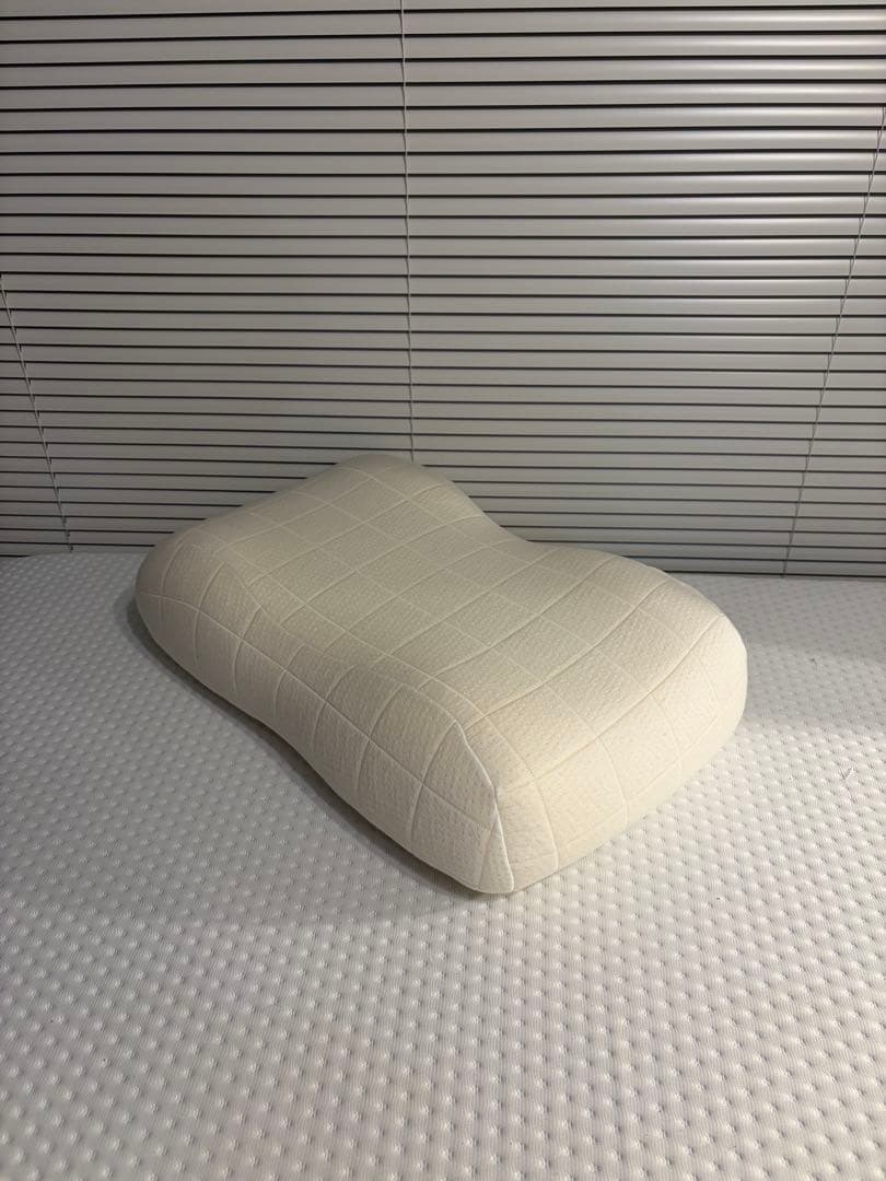 SLEEPY TOFU 豆腐の低反発まくら (フォーム) スタンダード