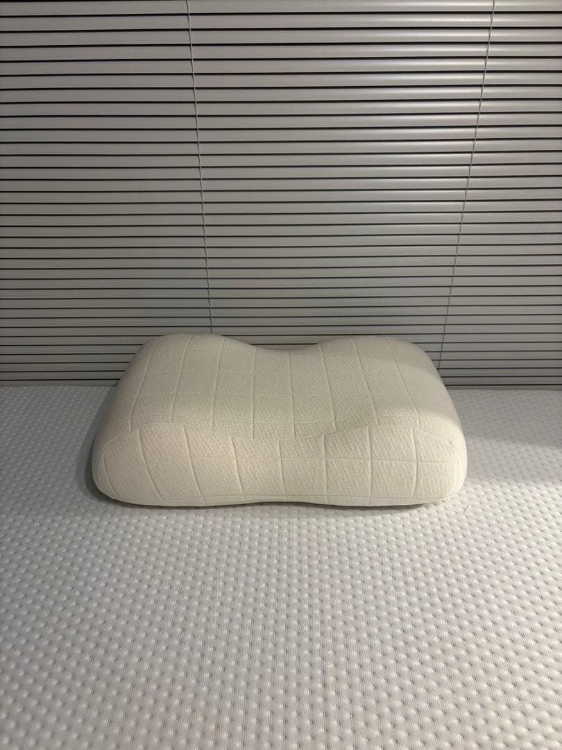 SLEEPY TOFU 豆腐の低反発まくら (フォーム) スタンダード