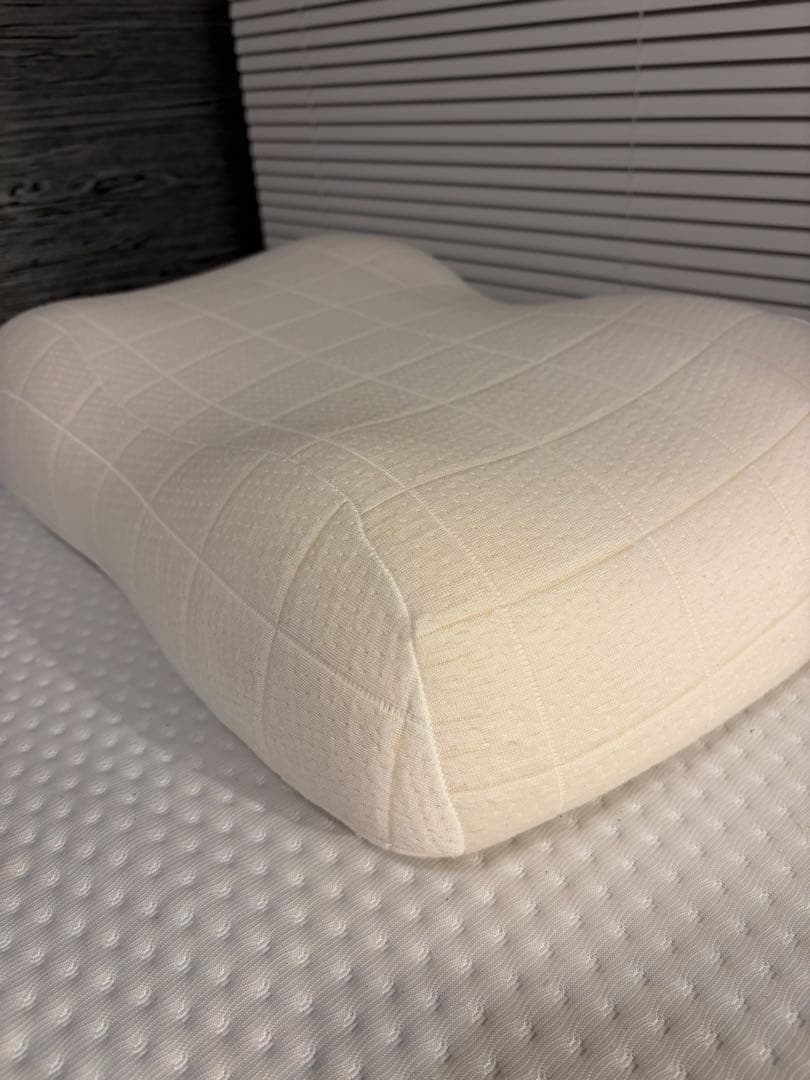 SLEEPY TOFU 豆腐の低反発まくら (フォーム) スタンダード