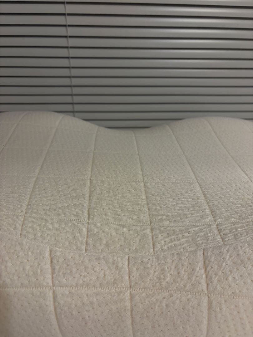 SLEEPY TOFU 豆腐の低反発まくら (フォーム) スタンダード