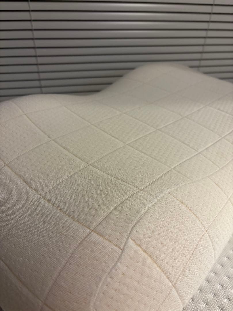 SLEEPY TOFU 豆腐の低反発まくら (フォーム) スタンダード