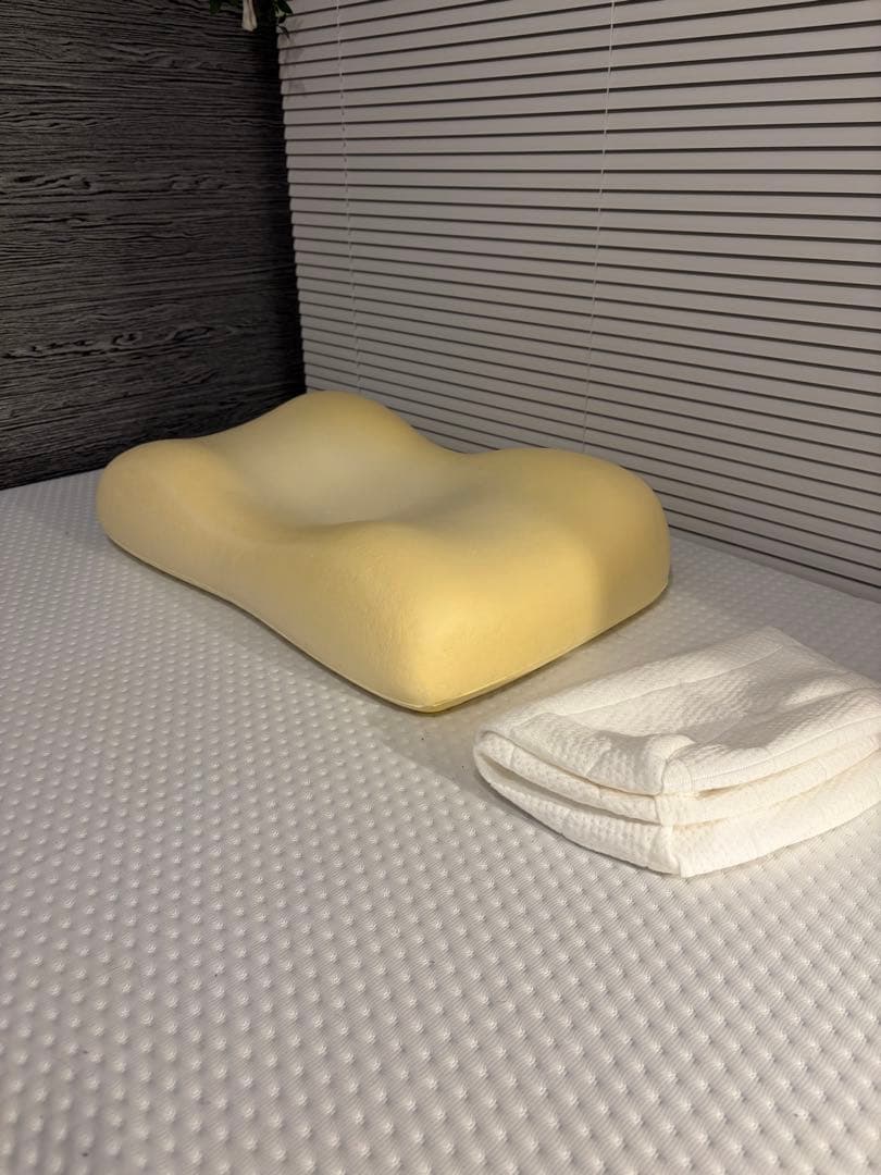 SLEEPY TOFU 豆腐の低反発まくら (フォーム) スタンダード