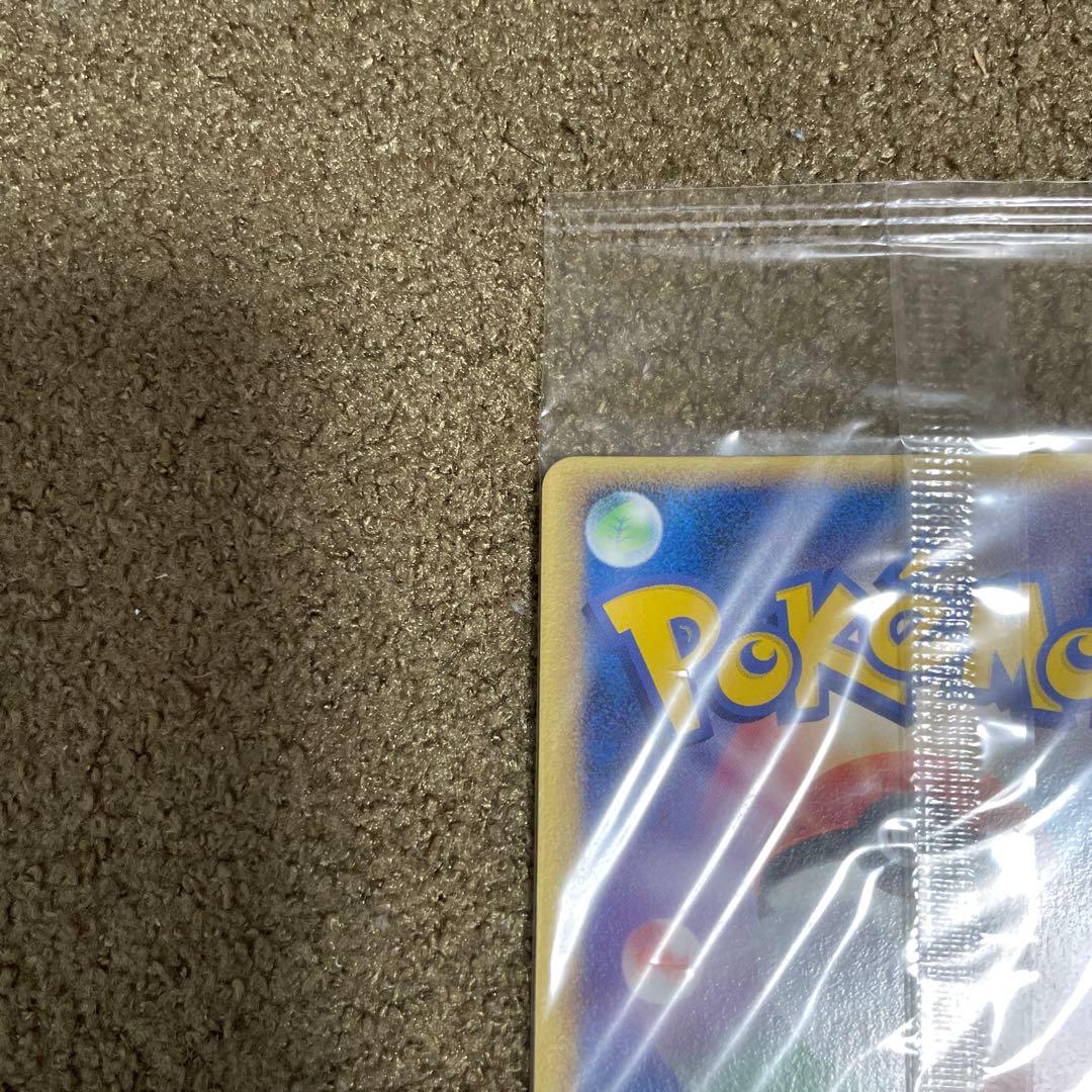 ポケパークのミズゴロウ ミズゴロウのスプラッシュアドベンチャー 未開封