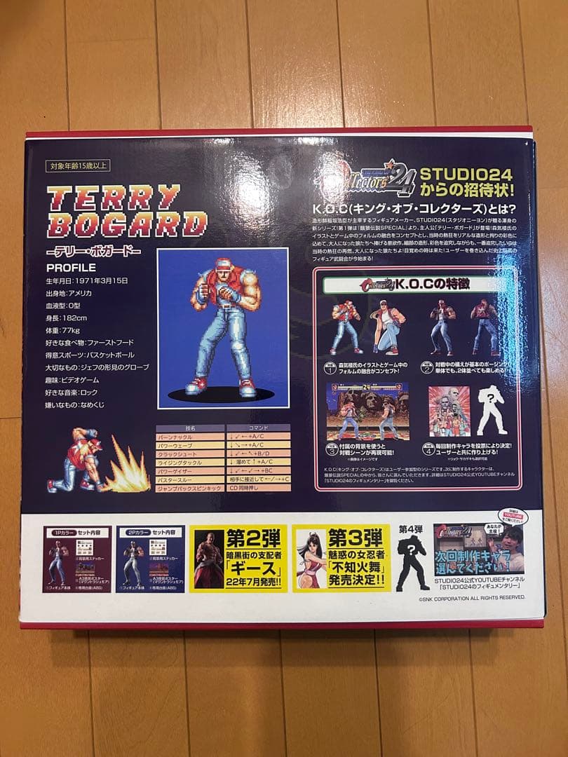 スタジオ24 テリー 通常版 フィギュア