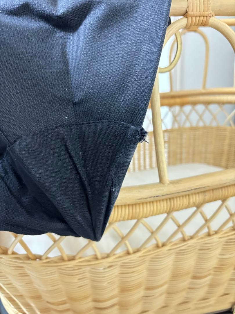 プスプス　東京乳母車