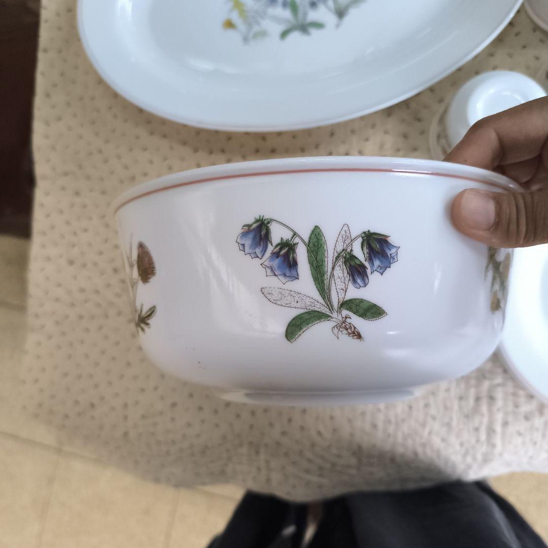 さ*う様 ヴィンテージアルコパル　arcopal フランス製　大量食器セット　野