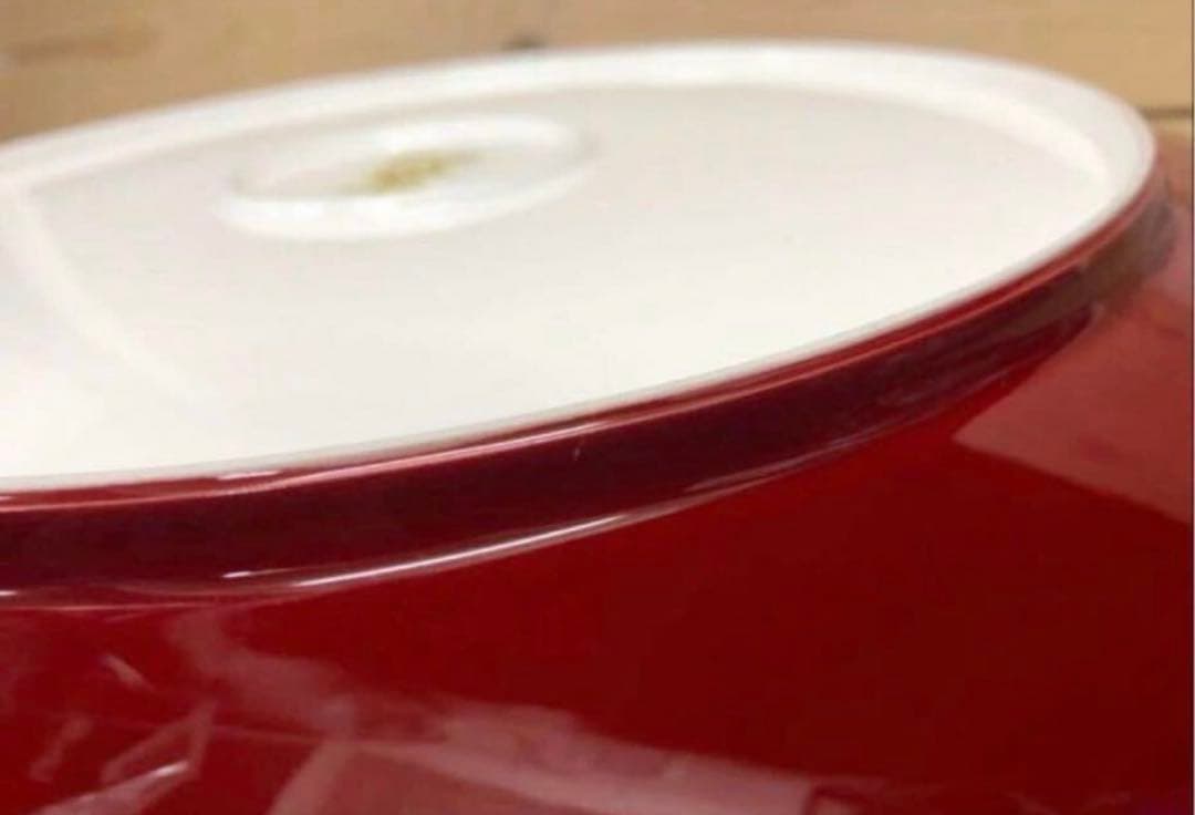 未使用/特価❕ノリタケ/ボーンチャイナ/赤富士/飾り皿/1点 大皿