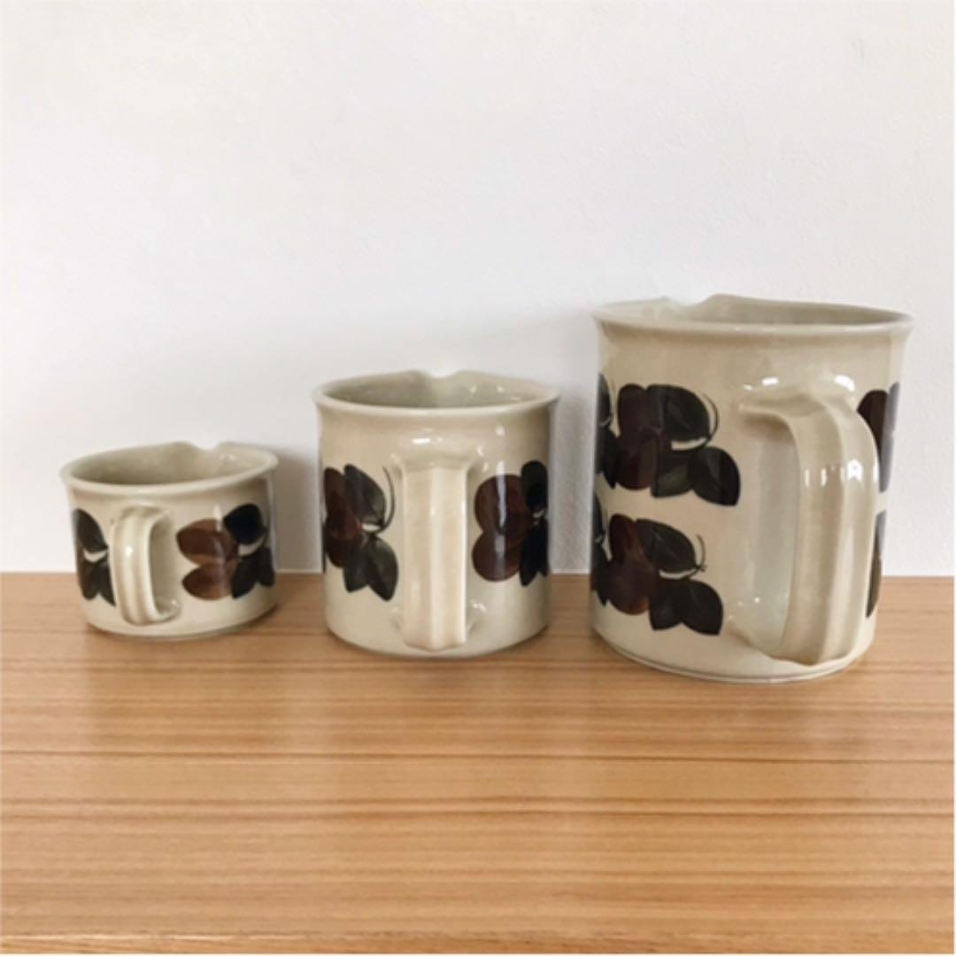 【参考画像】ARABIA Ruija ルイヤ(ルイージャ)ピッチャーサイズ比較用