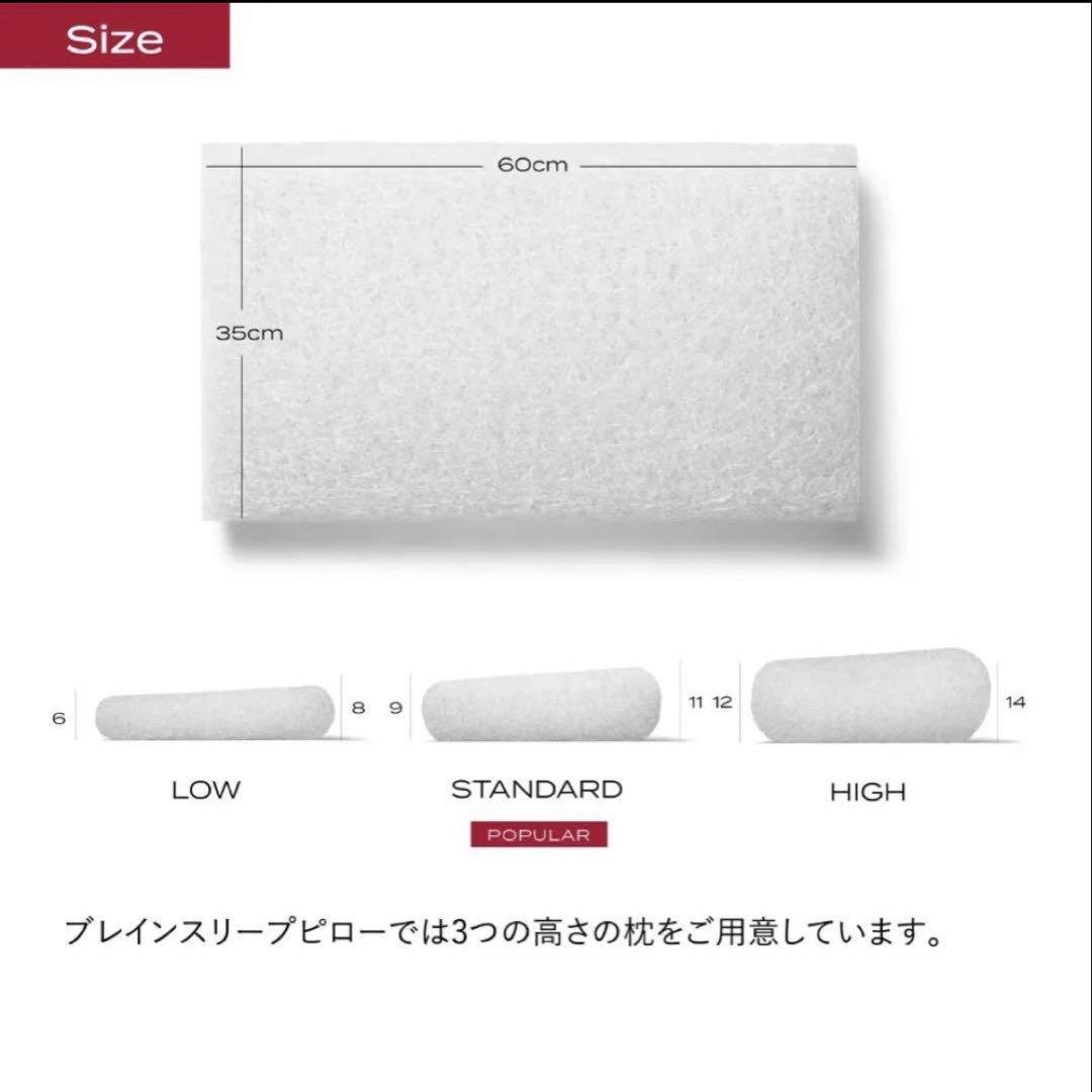 BRIAN SLEEP ピロー　収納バッグ付き