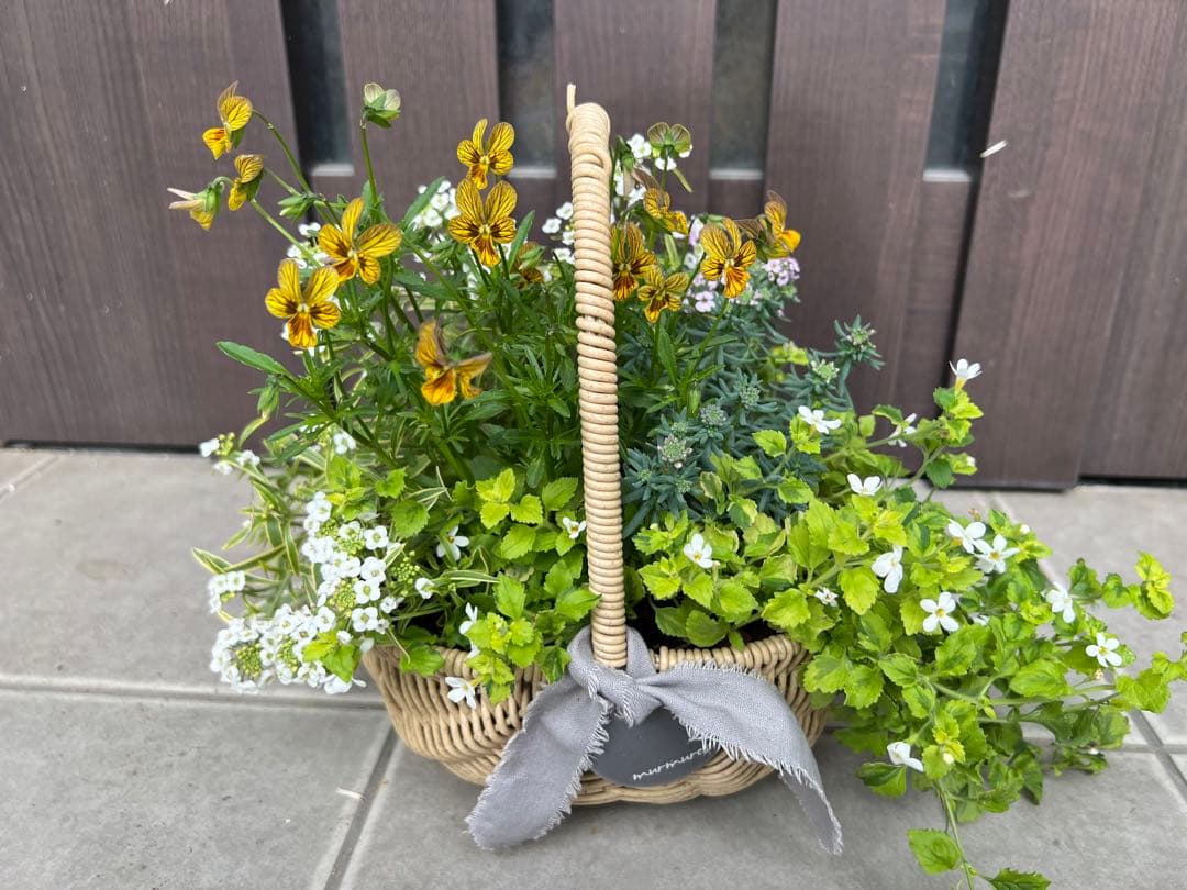 寄せ植え　花■みつばちと花畑
