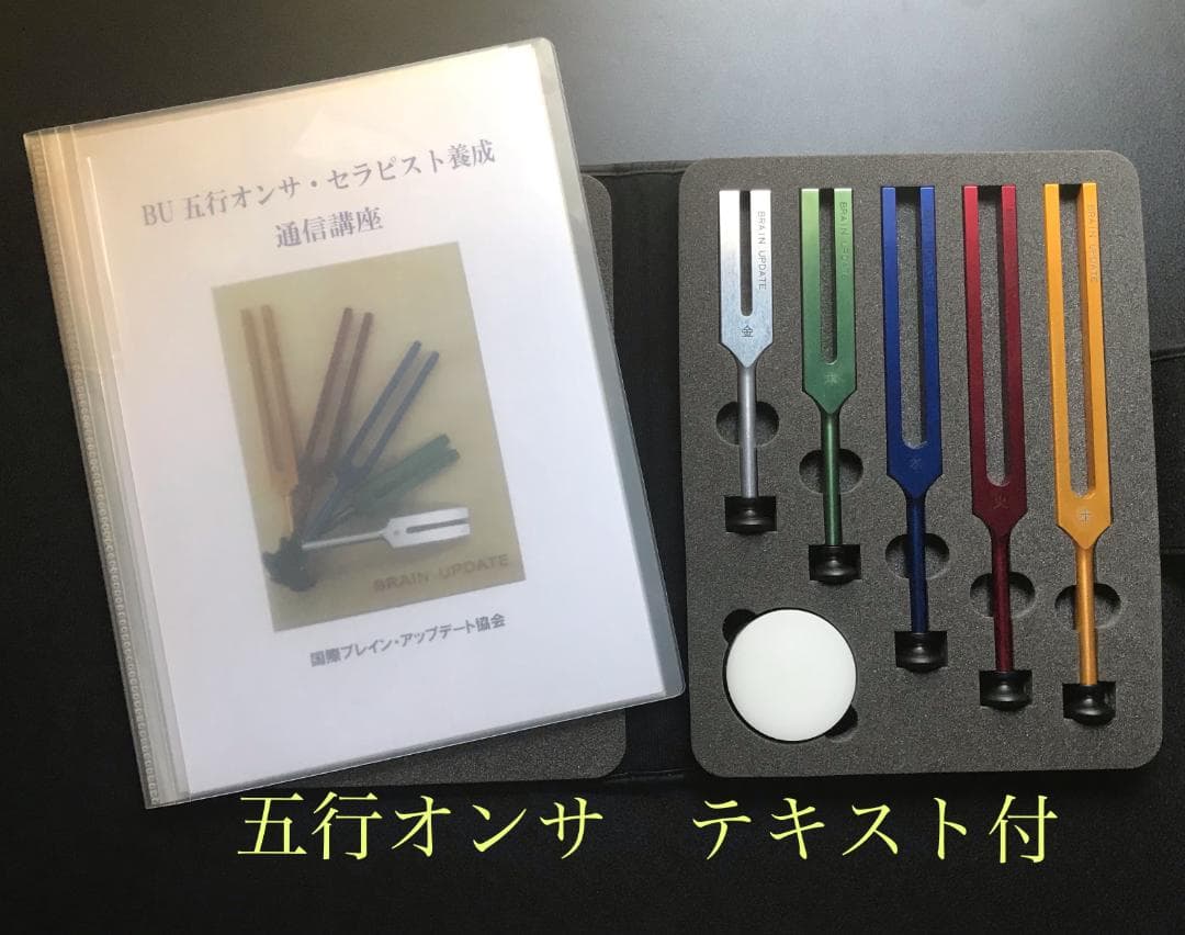 音叉 ニチオン 五行音叉 ブレインアップデート テキスト付 国産 新品未