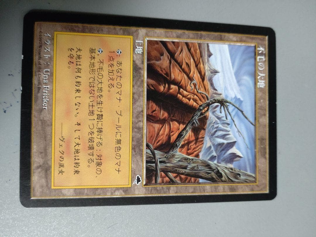 MTG 不毛の大地 日本語 4枚セット MTG 不毛の大地 Wasteland 日本語