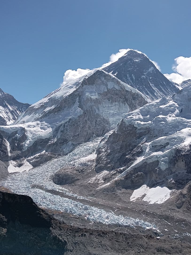 ネパールムクチナート産出。黒色アンモナイト化石 大きいサイズ(希少