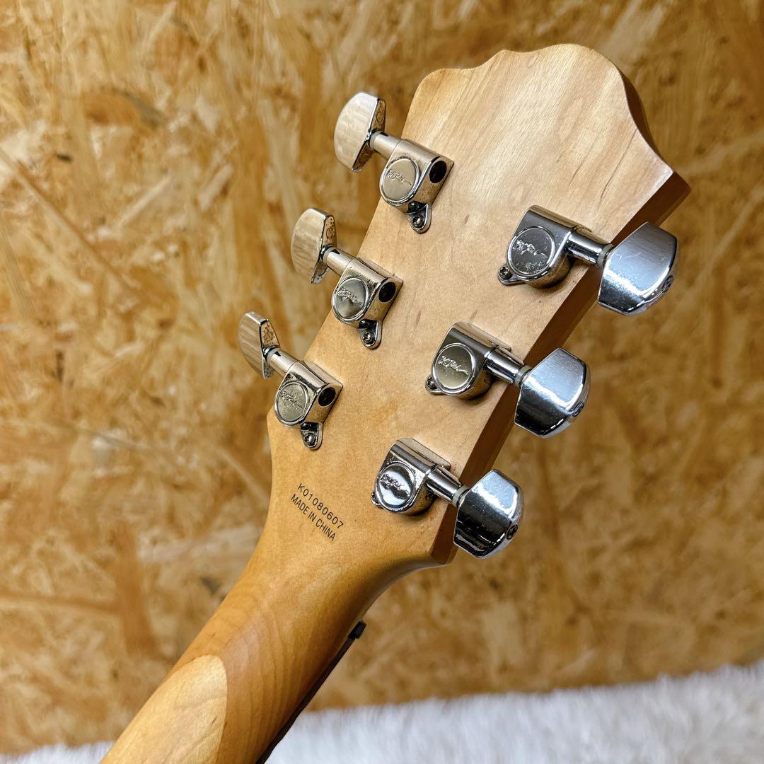 B.C.rich Bich BCリッチ ビッチ 変形ギター 他社ギグケース付属