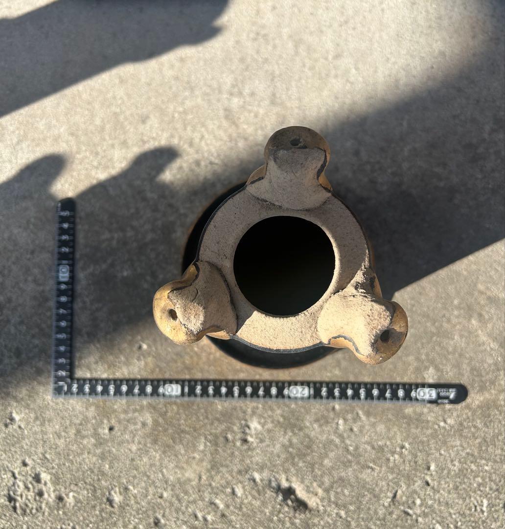 錦鉢　蘭鉢　富貴蘭鉢　万年青