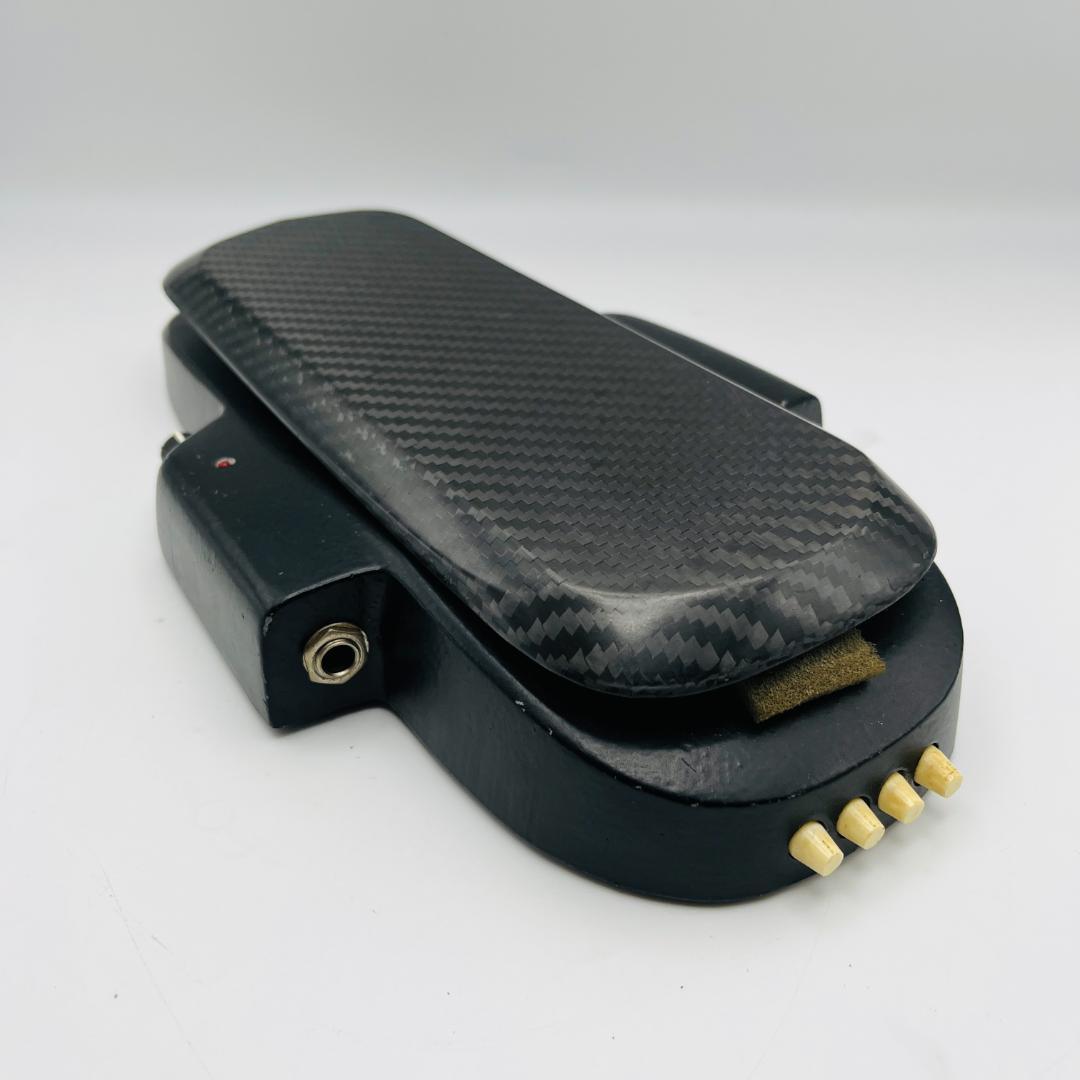 Roger Mayer Vision Wah Handbuilt in UK - メルカリ