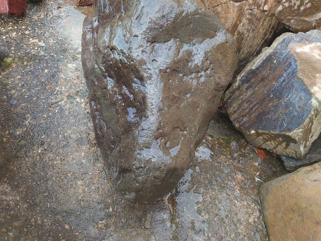 庭石 山型 約120kg 鑑賞石 庭園 坪庭 枯山水 造園