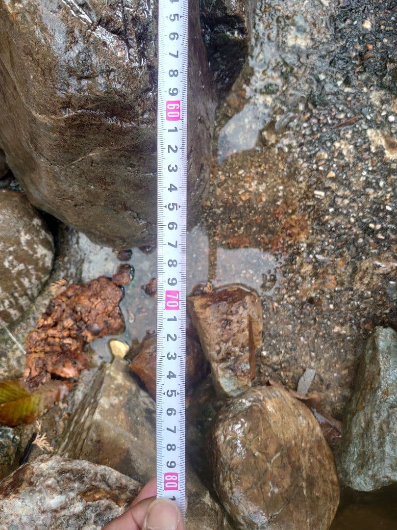 庭石 山型 約120kg 鑑賞石 庭園 坪庭 枯山水 造園