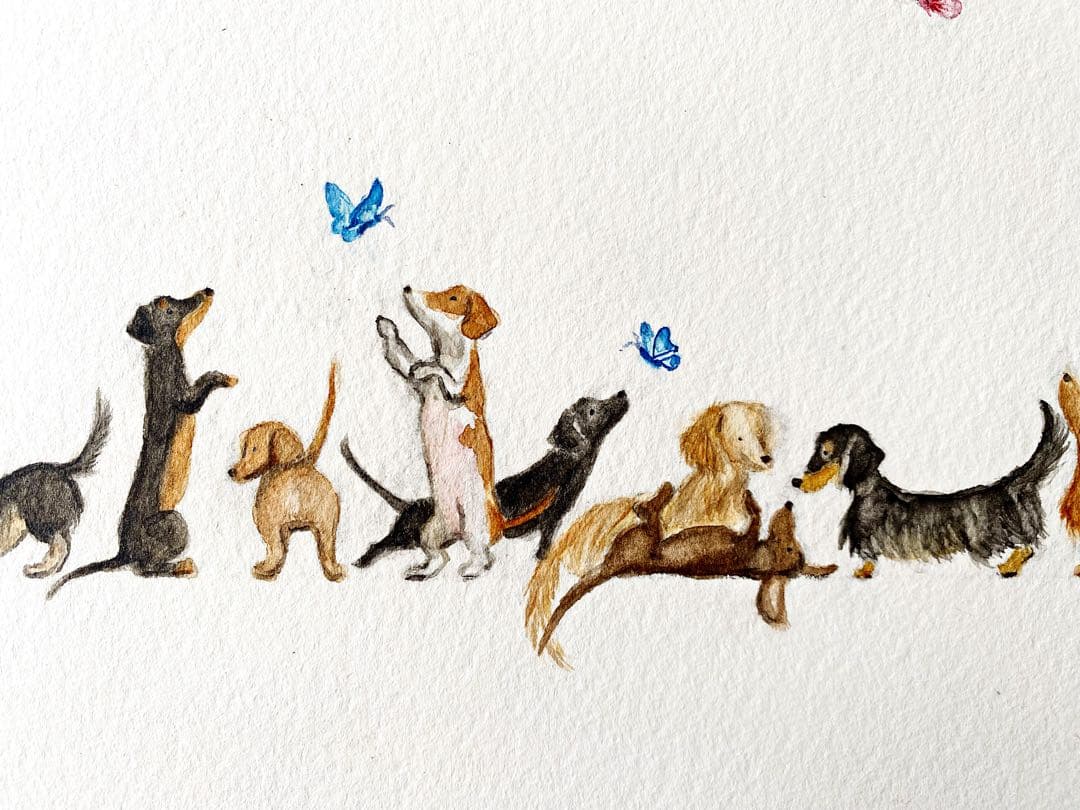 【Dachs！Dachs！Dachs！】原画