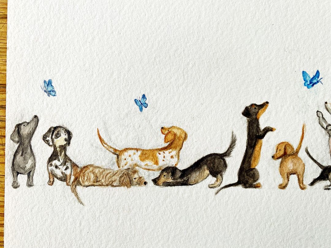 【Dachs！Dachs！Dachs！】原画