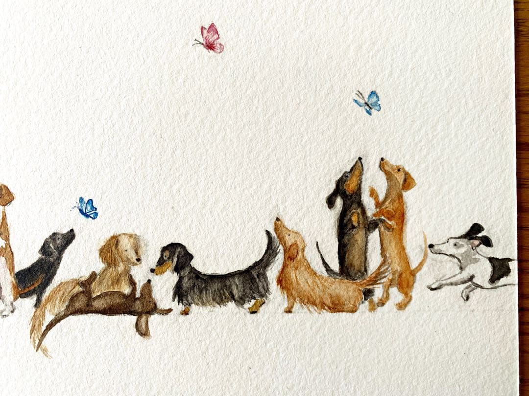 【Dachs！Dachs！Dachs！】原画